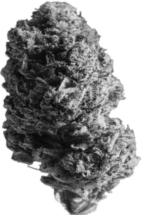 Featured cannabis flower